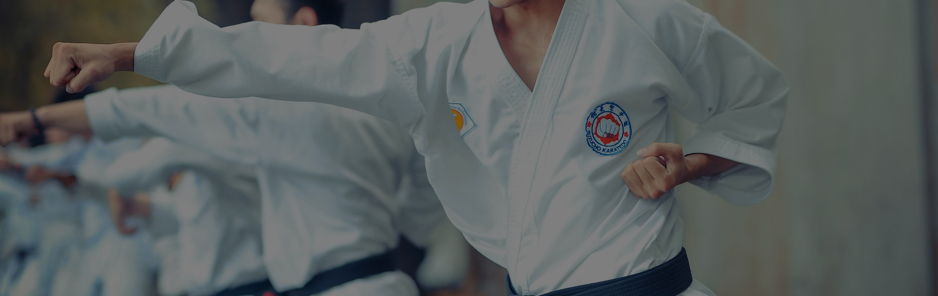 シンプルでカスタマイズしやすいWordPress.org登録テーマ